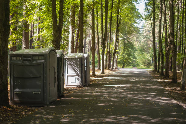 Best Luxury portable toilet rental  in Albers, IL